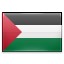 shiny Palestine icon
